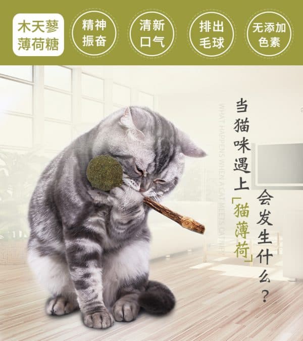 สั่งสินค้าจากจีน ของเล่นน้องแมว ตัวช่วยสร้างความสุขให้สัตว์เลี้ยงคุณ  สั่งสินค้าจากจีน ของเล่นน้องแมว ตัวช่วยสร้างความสุขให้สัตว์เลี้ยงคุณ O1CN011n39rFETjuq34dH 2452385033 600x674